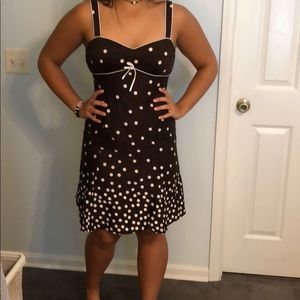 knee length brown dress with white polka dots